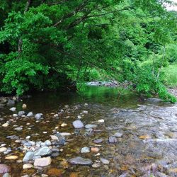 雨の谷でイワナ釣り